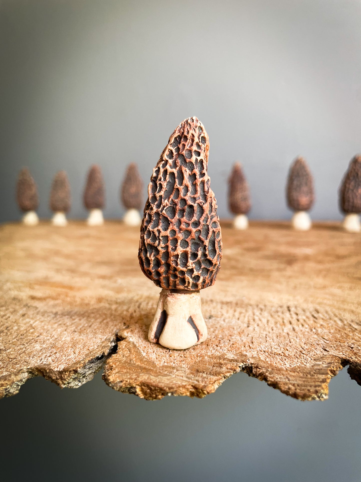 Small Morel mushroom pipe #1