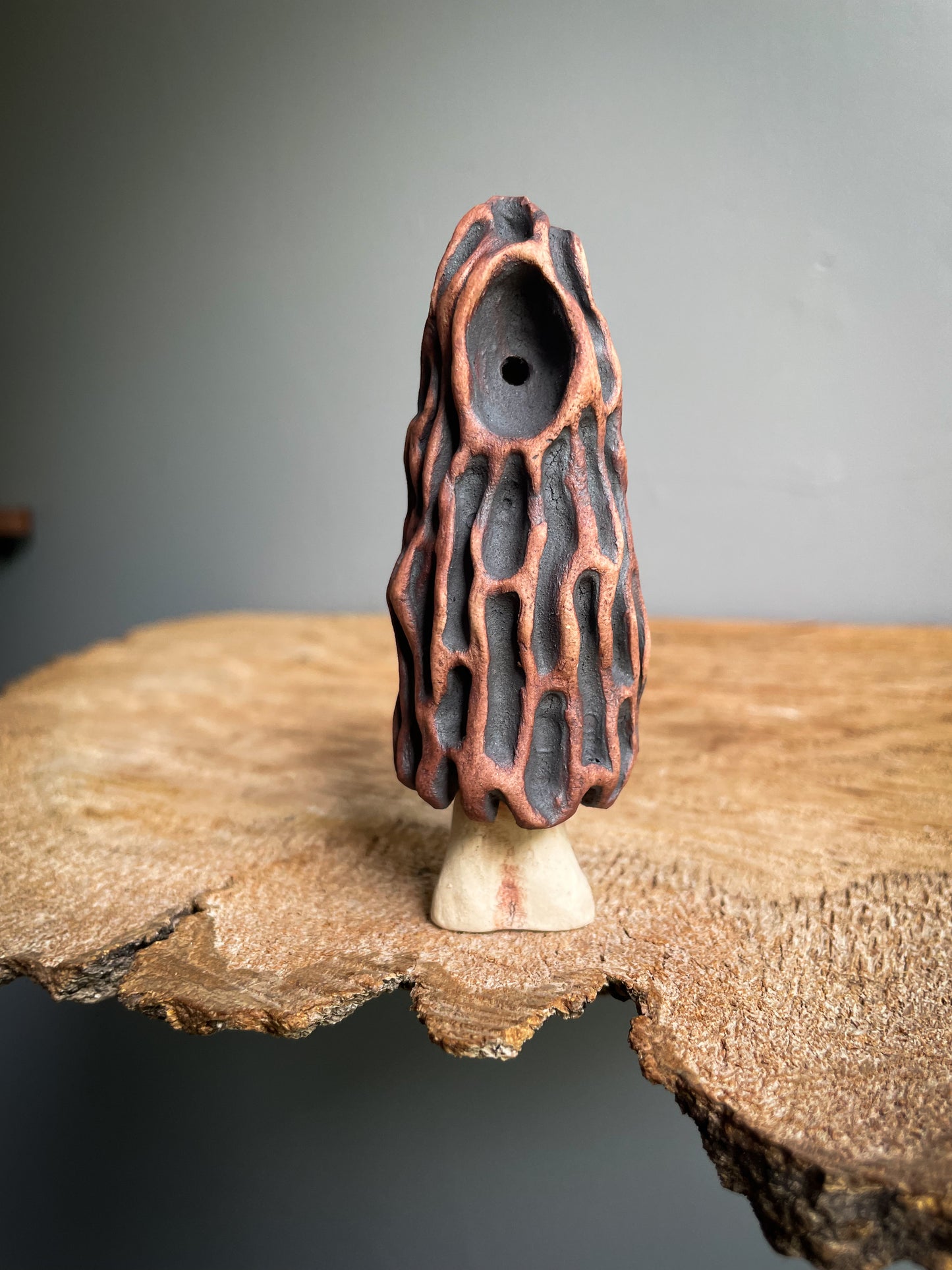 Small Morel mushroom pipe #5