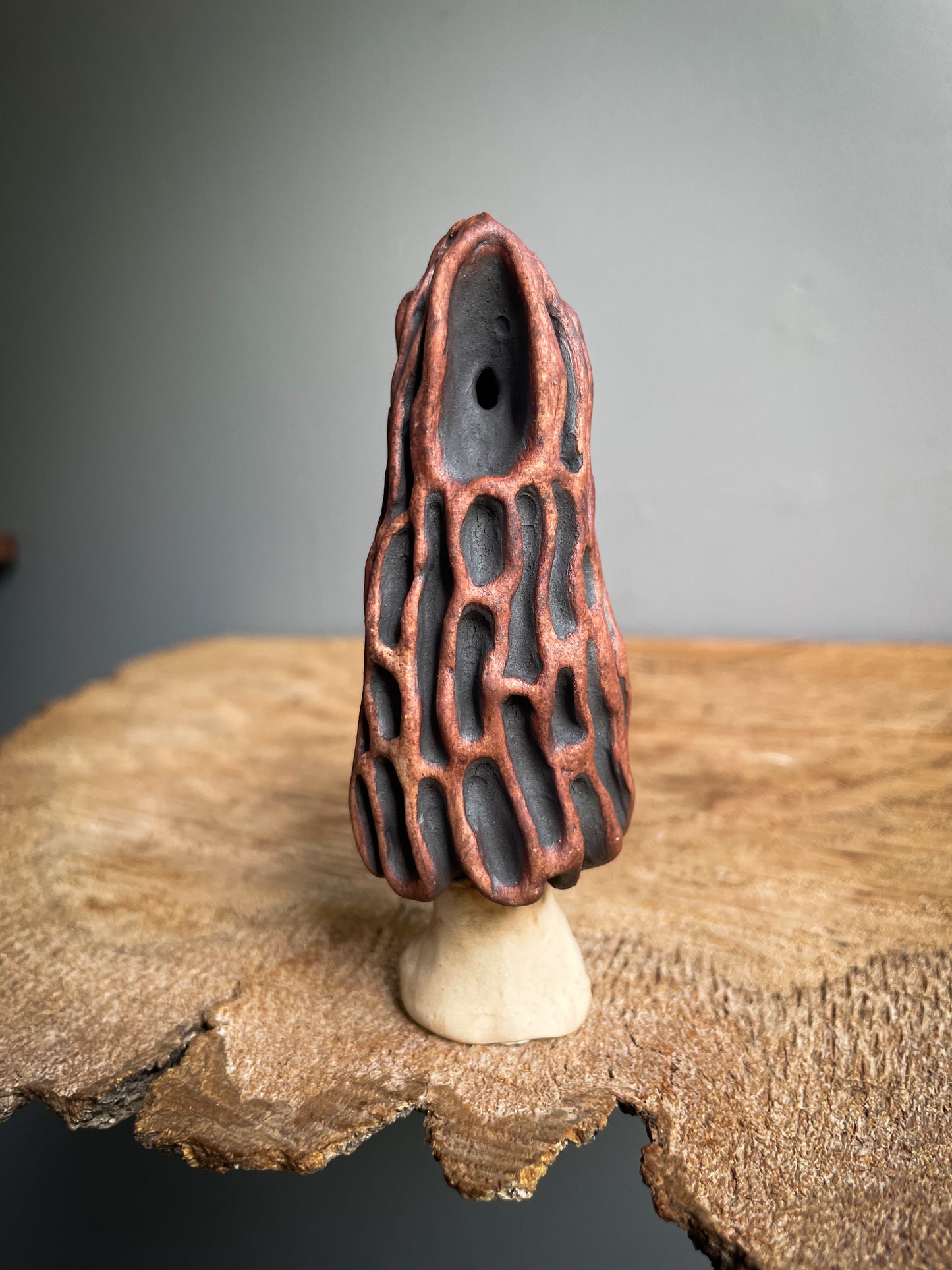 Small Morel mushroom pipe #6