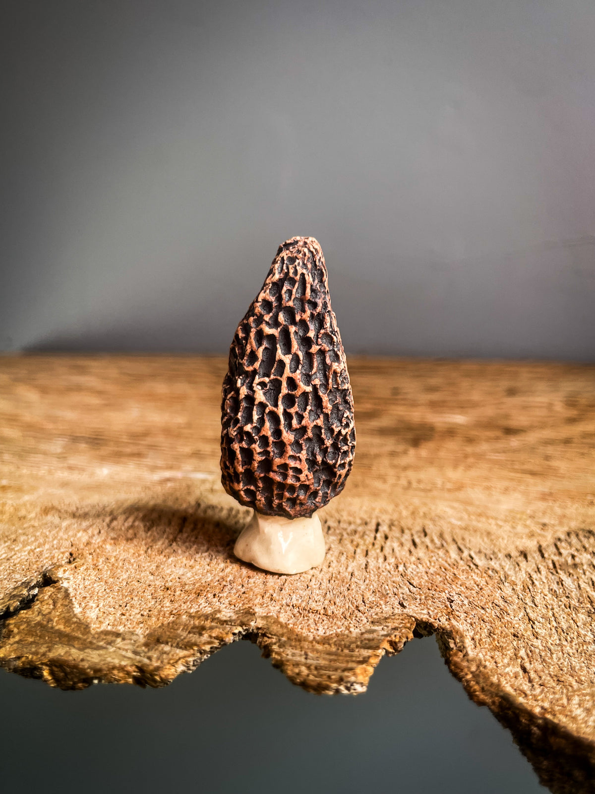 Small Morel mushroom pipe #1