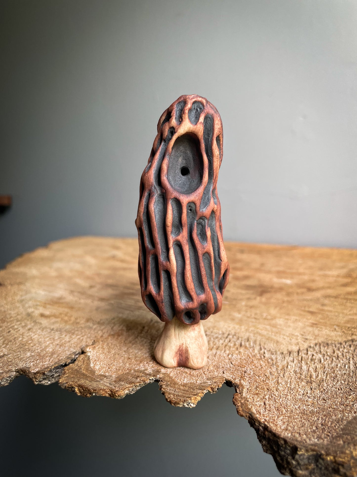 Small Morel mushroom pipe #1