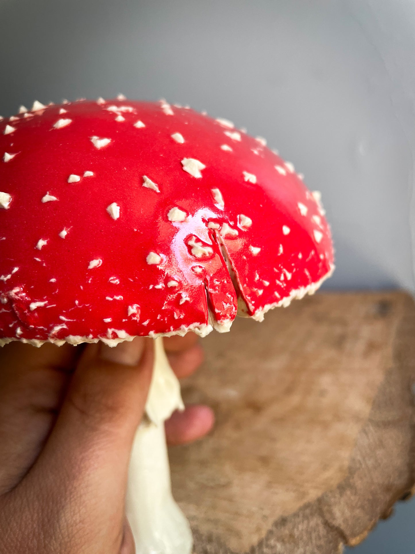 #5 Extra Large amanita muscaria mushroom Spore Dispersal Incense Burner