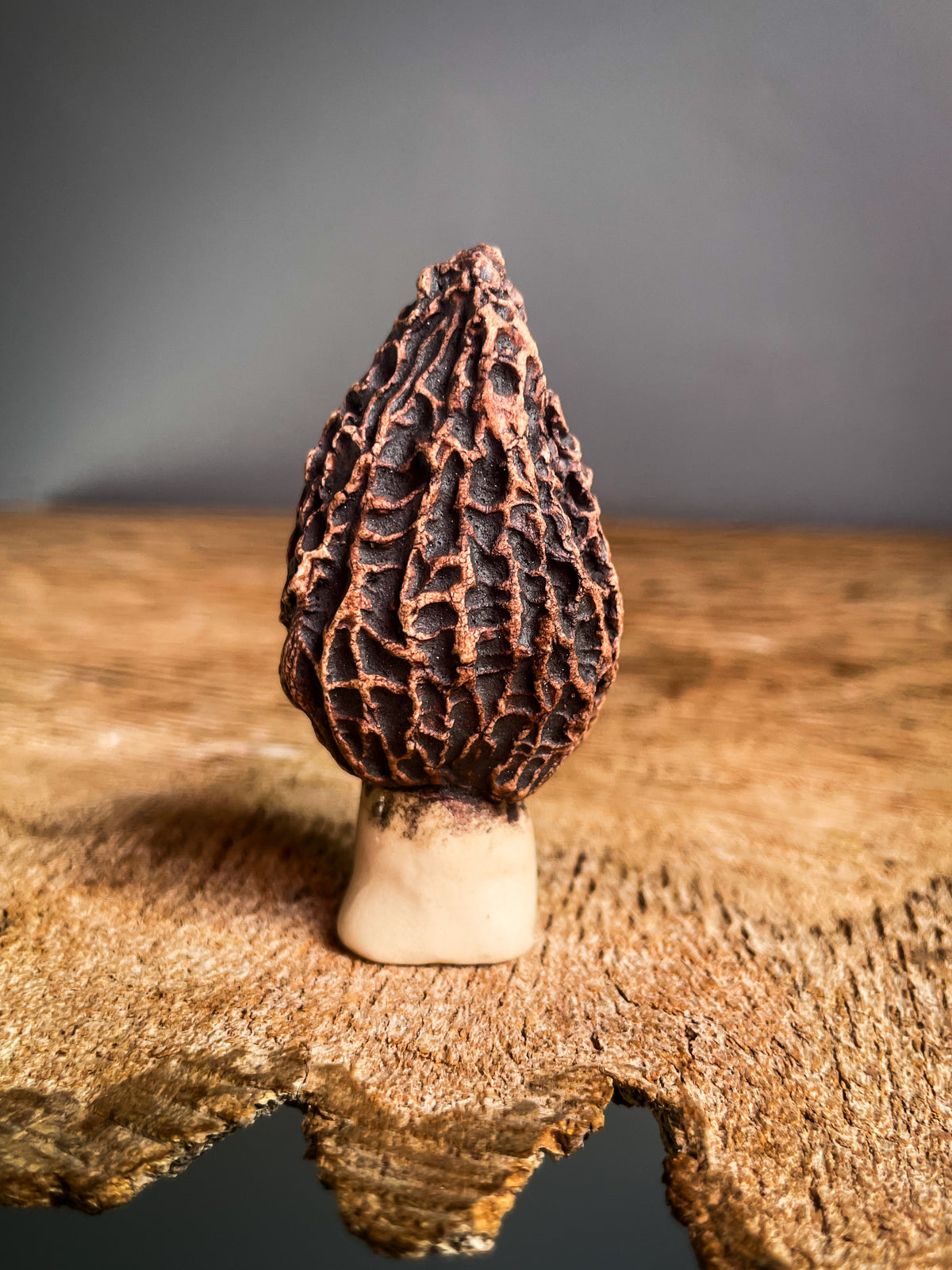 Small Morel mushroom pipe #7