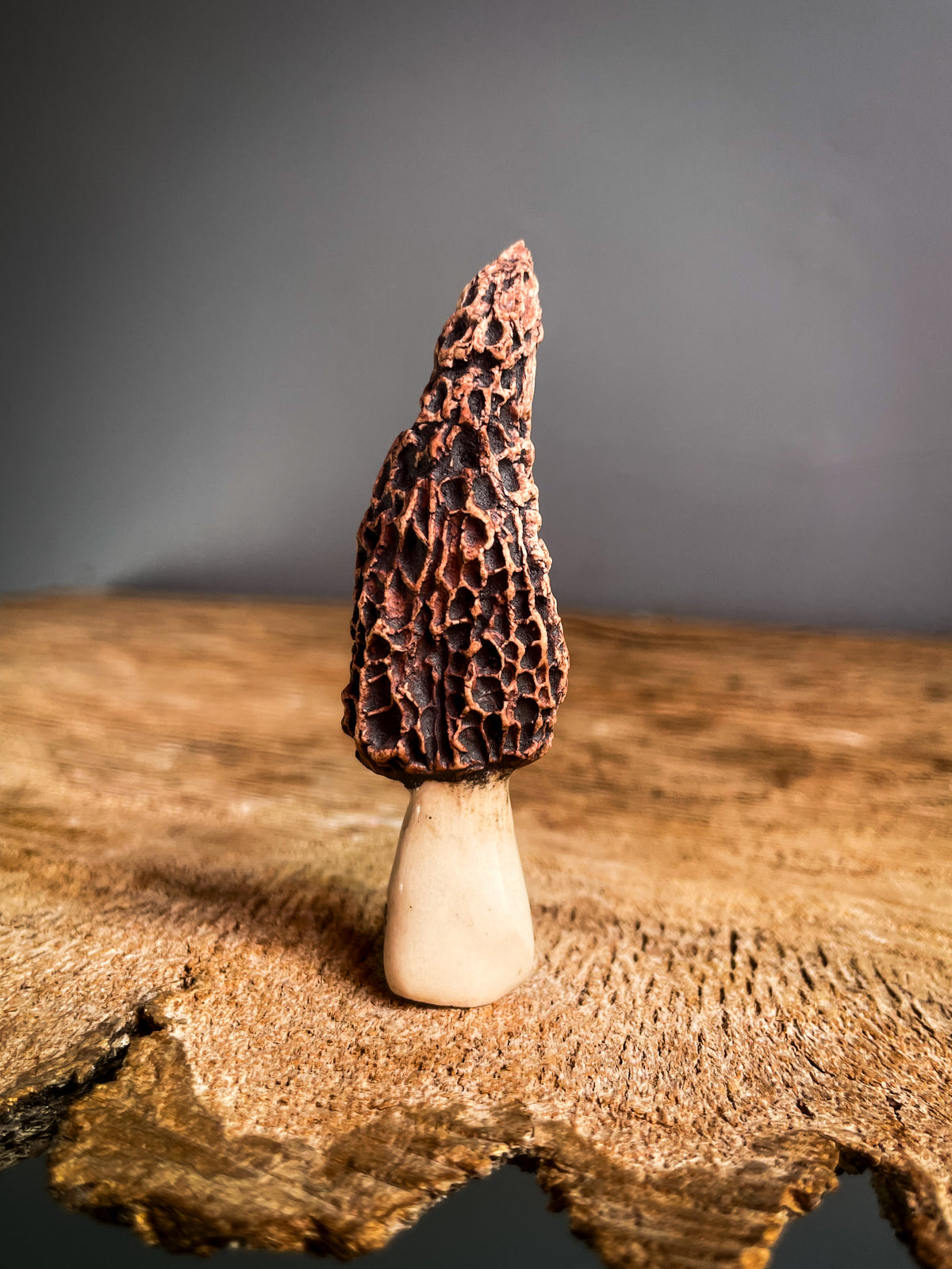 Small Morel mushroom pipe #4