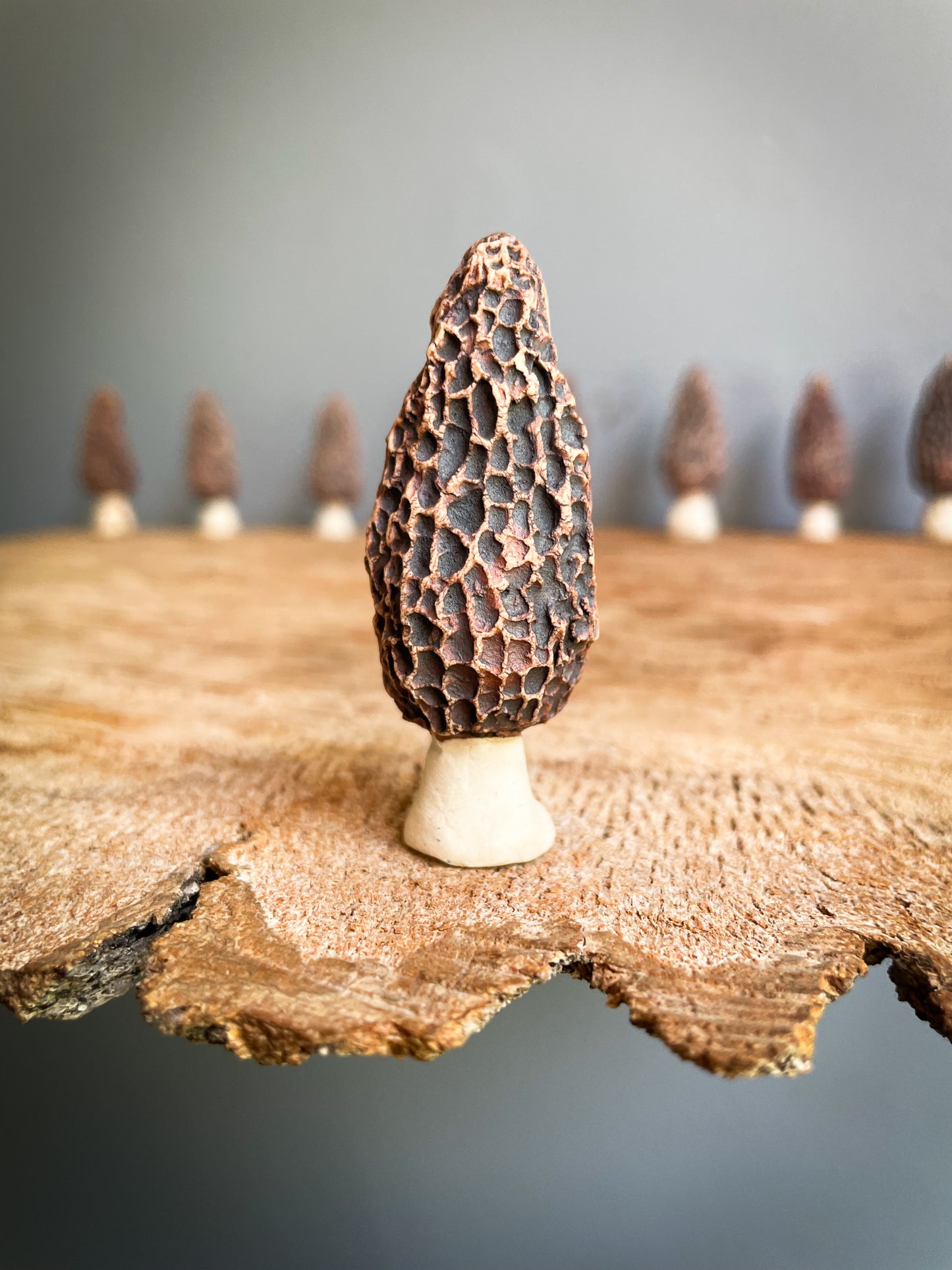 Small Morel mushroom pipe #9