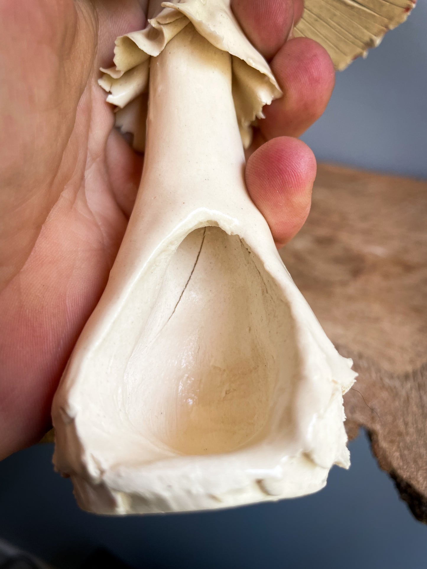 #4 Extra Large amanita muscaria mushroom Spore Dispersal Incense Burner  ✨Second choice ✨