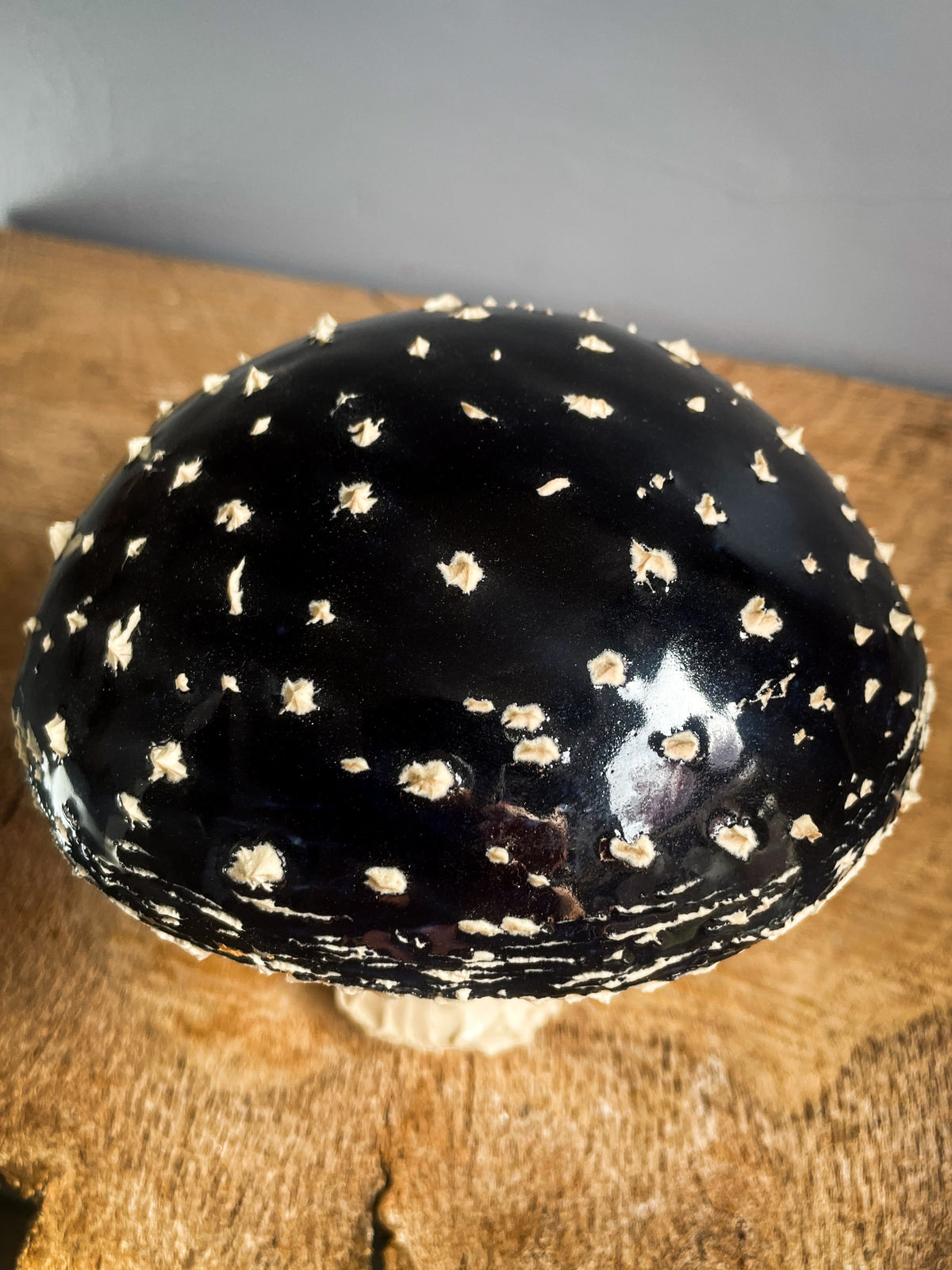 #3 Large BLACK amanita muscaria mushroom Spore Dispersal Incense Burner
