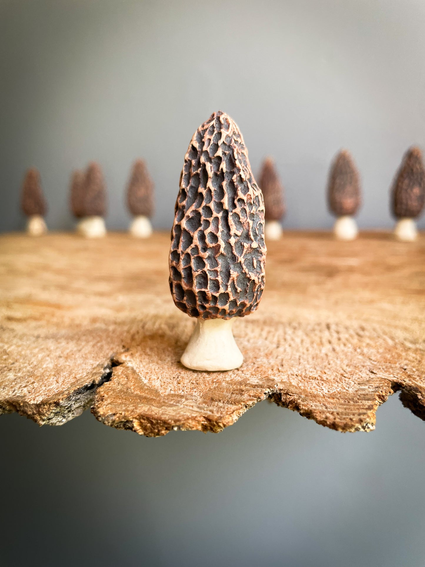 Small Morel mushroom pipe #3