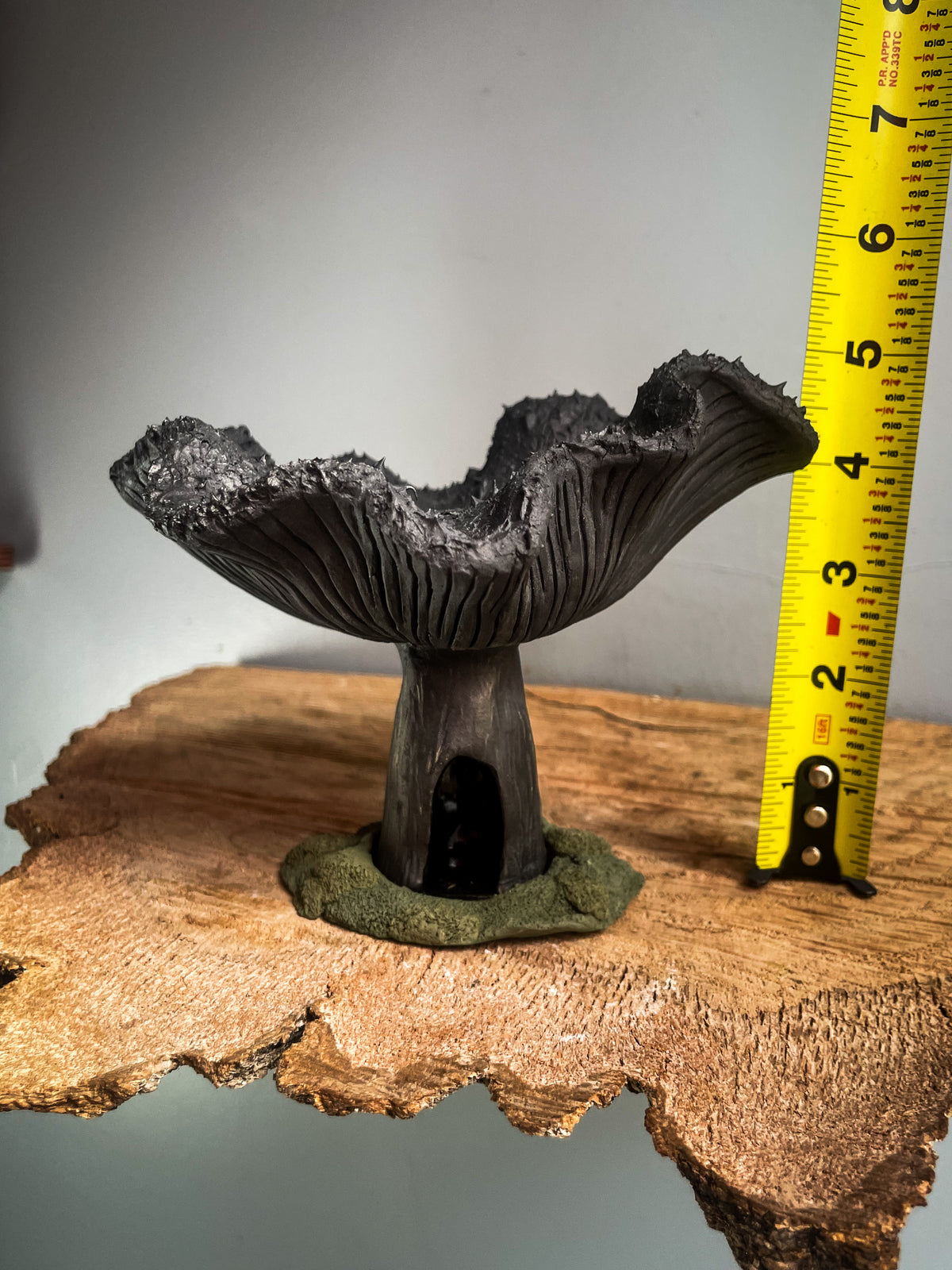 Enteloma Spore Dispersal Incense Burner