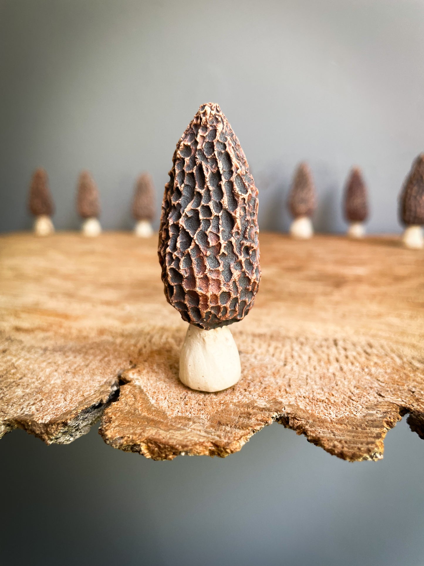Small Morel mushroom pipe #8