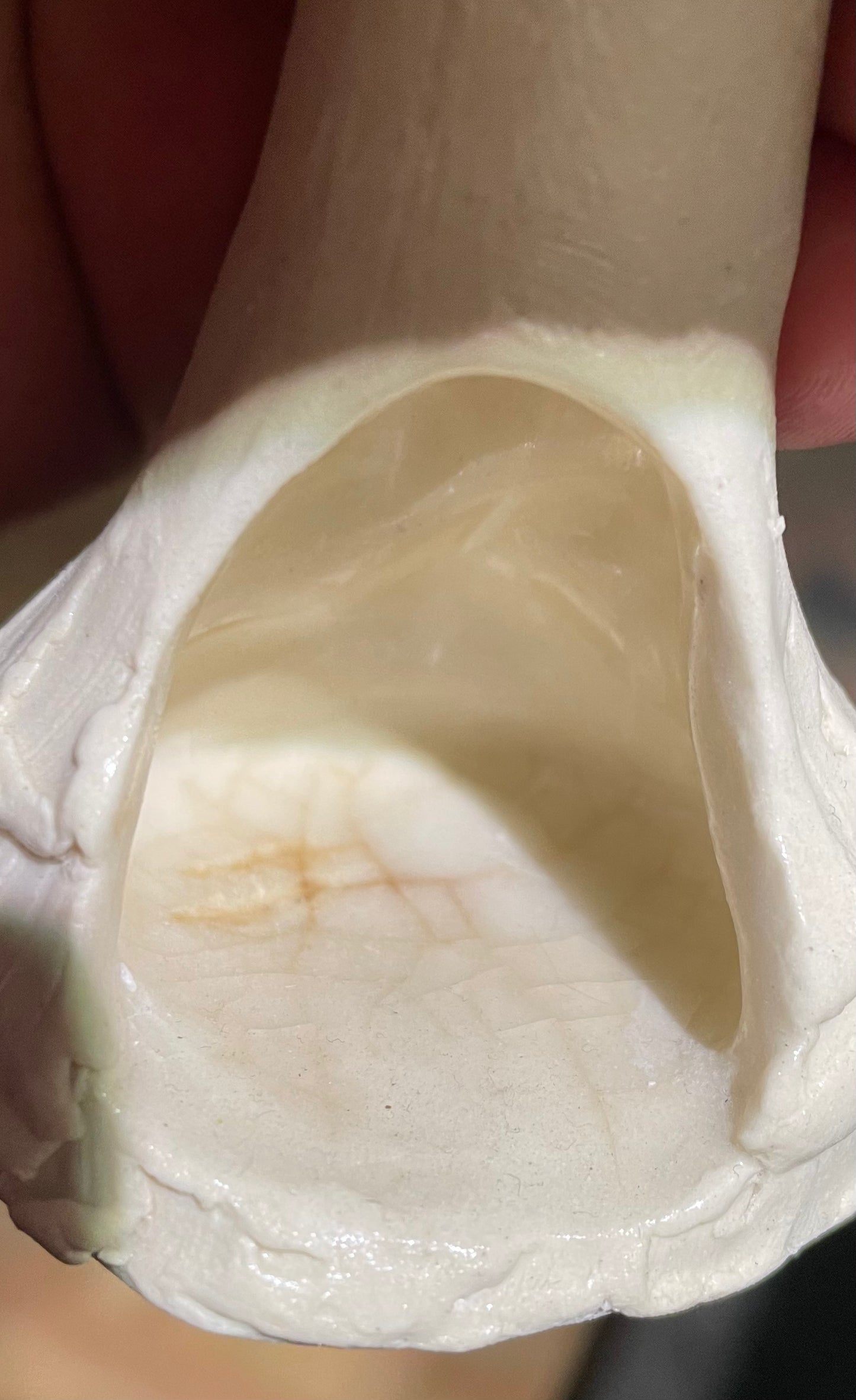 ✨second choice ✨ kodama amanita muscaria mushroom Spore Dispersal Incense Burner